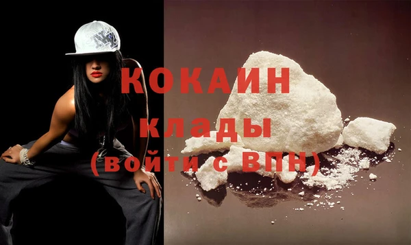 прущие грибы Арсеньев