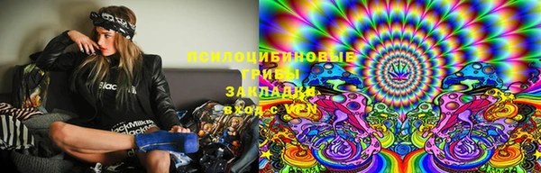 прущие грибы Арсеньев